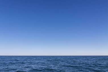 Arka plan, denizin küçük dalgaları ve üstlerinde mavi gökyüzü.