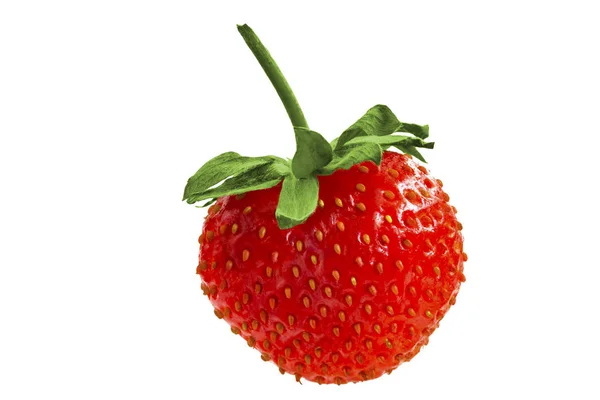 Frische, kleine Erdbeeren in Nahaufnahme auf weißem Hintergrund. — Stockfoto