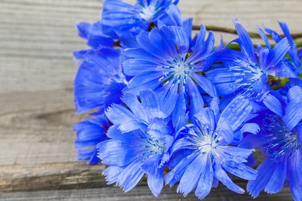 Flores silvestres azules se encuentran en tablas de madera natural. Primer plano . — Foto de Stock