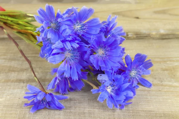 Un ramo de flores silvestres se encuentra en tablas de madera. primer plano — Foto de Stock