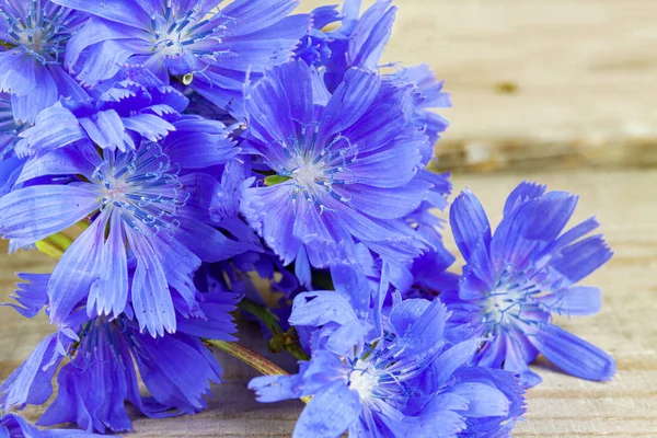 Un ramo de flores silvestres se encuentra en tablas de madera. primer plano — Foto de Stock