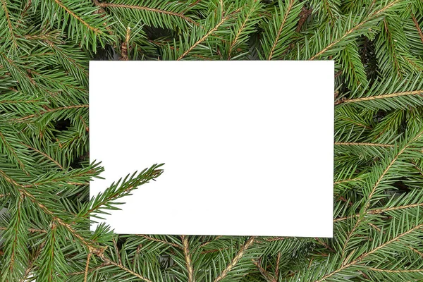 크리스마스 트리의 녹색 가지에서 새해 테마, 프레임. — 스톡 사진