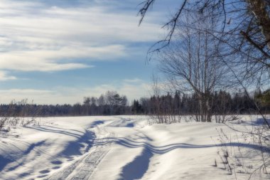 Kışın orman yolu. Çok kar var. Güneşli bir gün.