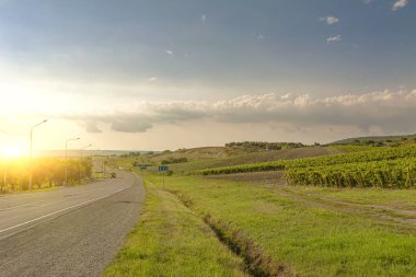 Akşam gün batımı ile yol boyunca bağ tarlaları.