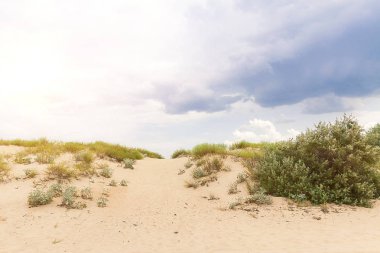 gün kuraklık deseart için susuz kuru arazi.