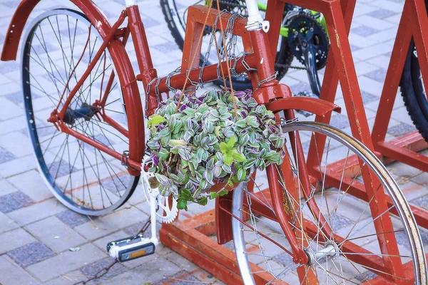 Nowoczesna koncepcja transportu. Oryginalny parking dla rowerów ozdobiony kwiatami. — Zdjęcie stockowe