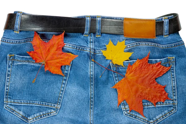 Herbst Ahornblätter Liegen Auf Jeans — Stockfoto