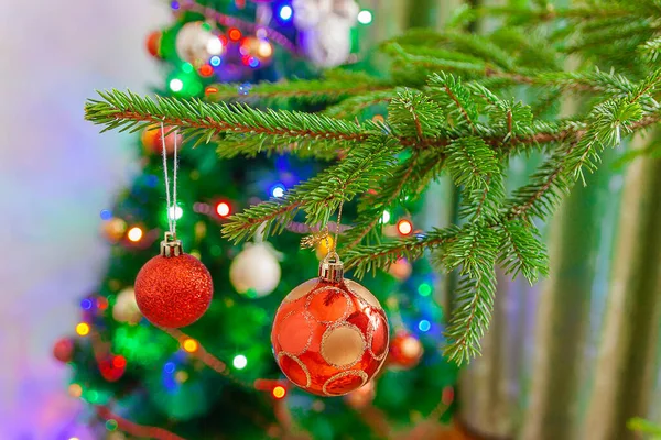 Nyttårsleketøy Veier Gren Juletreet – stockfoto