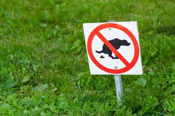 On the lawn, put the sign away after the dog