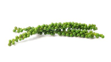 Beyaz arka plan üzerinde izole yeşil biber