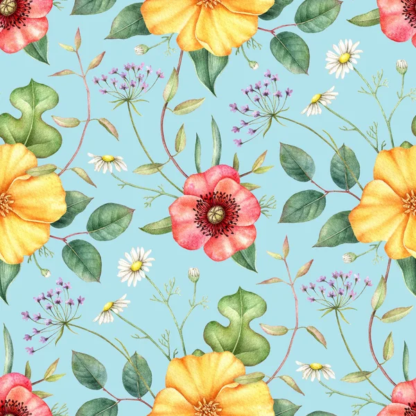 Nahtloses Muster mit Wildblumen und Kräutern. handgezeichnete Aquarell-Illustration auf blauem Hintergrund. — Stockfoto