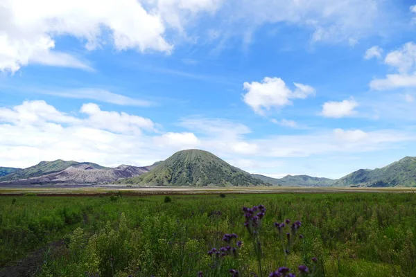 Encantador Complejo Volcánico Parque Nacional Bromo Tengger Semeru Contexto Fascinantes — Foto de Stock