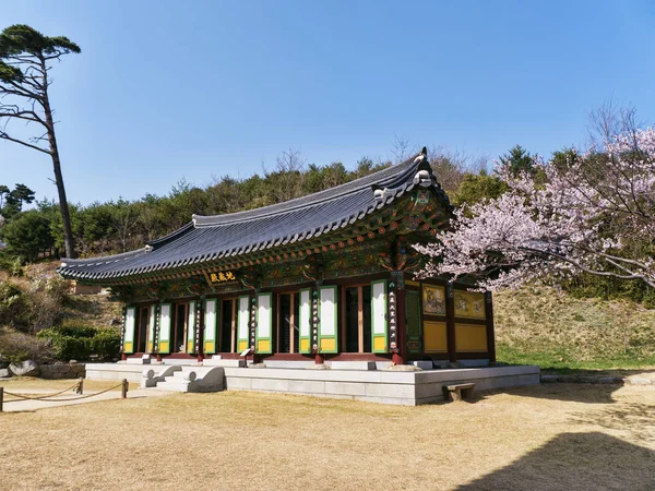 Maison Traditionnelle Coréenne Arbre Sakura Dans Temple Naksansa Corée Sud — Photo