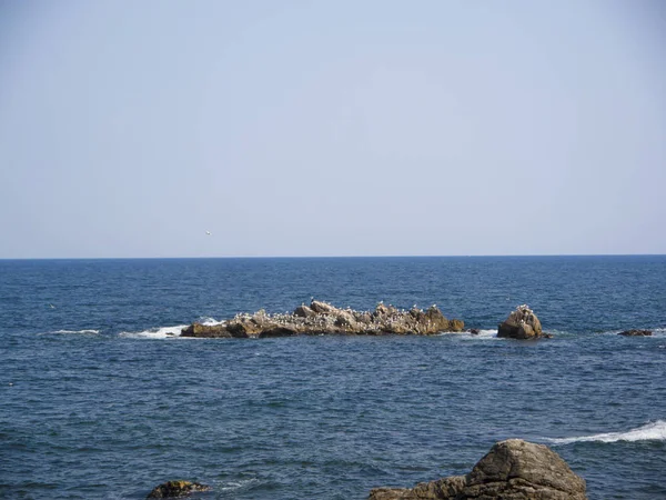 Vista Verso Mare Dal Tempio Naksansa Corea Del Sud — Foto Stock