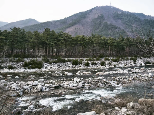 Rzeki Górskie Górach Seoraksansouth Korea — Zdjęcie stockowe