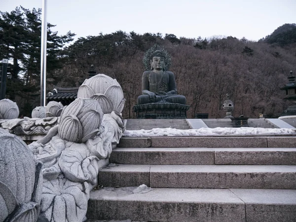 Grote Boeddhabeeld Seoraksan National Park Zuid Korea — Stockfoto