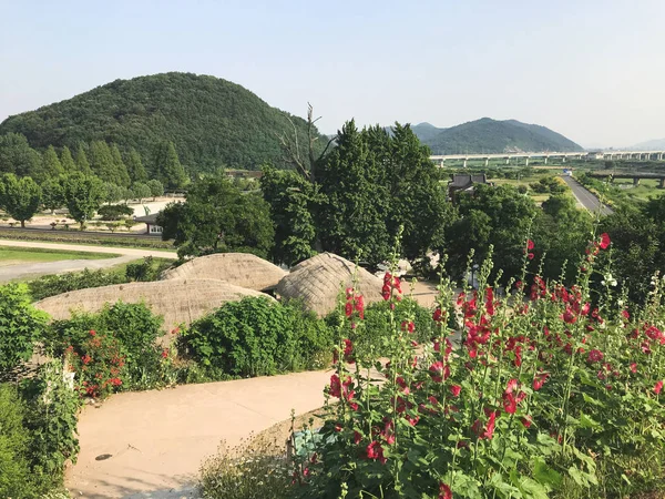 Röda Blommor Den Traditionella Koreanska Byn Sydkorea — Stockfoto