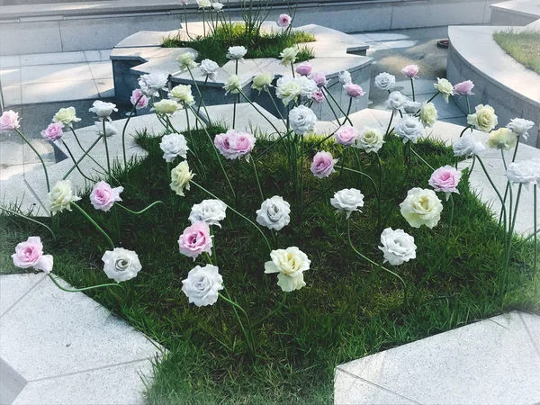 White Pink Flowers Flower Bed Pohang City South Korea — Stock Photo, Image