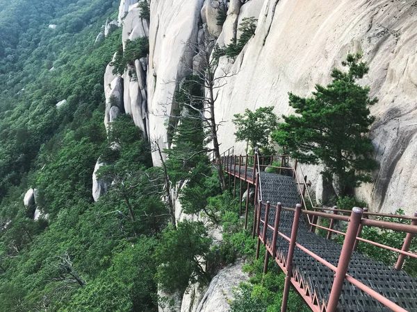 Ponte Com Degraus Que Levam Para Baixo Pico Montanha Parque — Fotografia de Stock