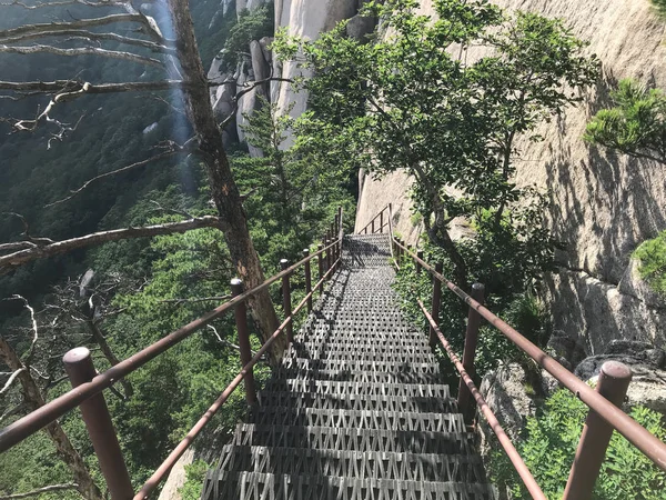 Ponte Com Degraus Que Levam Para Baixo Pico Montanha Parque — Fotografia de Stock