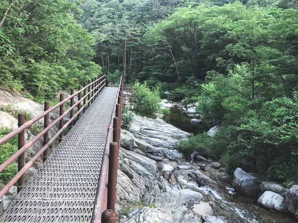 Kleine Ijzeren Brug Seoraksan National Park Zuid Korea — Stockfoto