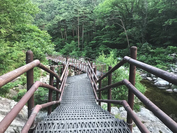 Jembatan Besi Kecil Taman Nasional Seoraksan Korea Selatan — Stok Foto