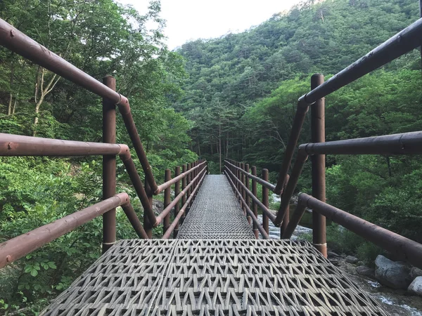 Jembatan Besi Kecil Taman Nasional Seoraksan Korea Selatan — Stok Foto