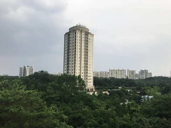 Wysoki Budynek Zielony Las Wokół Mieście Sokcho Korea Południowa — Zdjęcie stockowe
