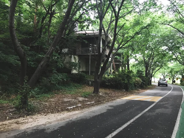 Hermosa Casa Bosque Spouth Corea —  Fotos de Stock