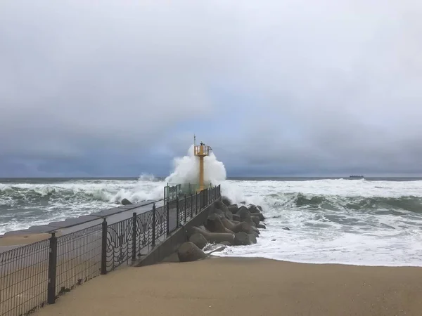 韓国の台風 洗浄に大きな波を破る 江陵市のビーチ ストックフォト