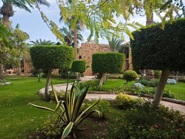 Güzel yeşil palmiye ağaçları ile bahçe ve kıvırcık çalılar Hurghada içinde city, Mısır