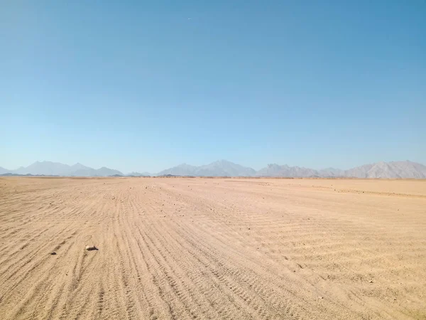 Día Desierto Egipto —  Fotos de Stock