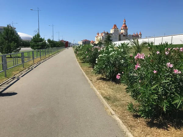 Улица города Адлер с проспектом цветов. Сочи, Россия — стоковое фото