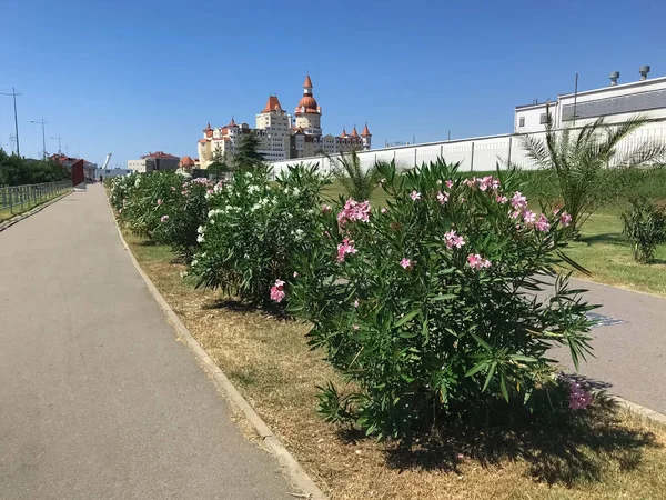 Utcája Adler város sugárút a virágok. Sochi, Oroszország — Stock Fotó