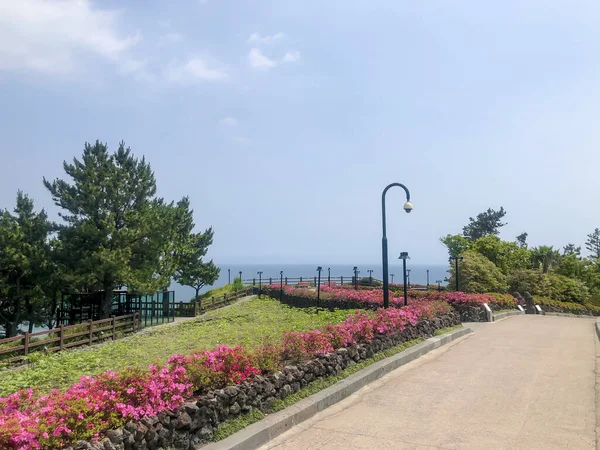 Aleja Kwiatami Parku Wyspa Jeju Korea Południowa — Zdjęcie stockowe
