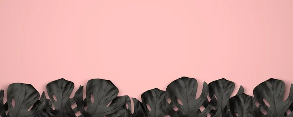 Row Black Tropical Leaves Forming Edge Bottom Pink Background Mockup Stock Photo