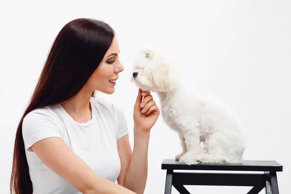 Menina morena bonita com cabelo longo senta-se ao lado do cachorro maltês branco e olha suavemente para o cão — Fotografia de Stock