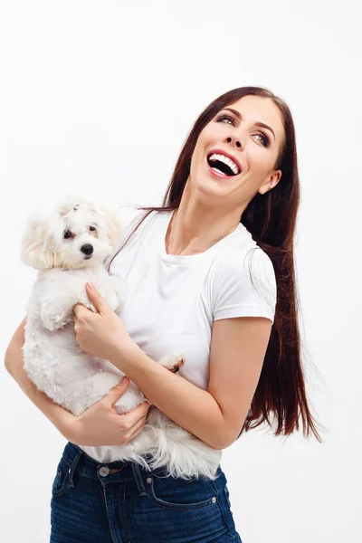 Hermosa chica morena sonriendo con los dientes, sostiene cachorro maltés blanco y su pelo vuela —  Fotos de Stock
