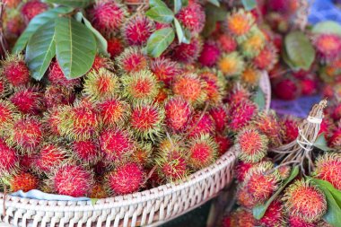 Meyve pazarında taze rambutan satılıyor. Tropikal meyve rambutan  