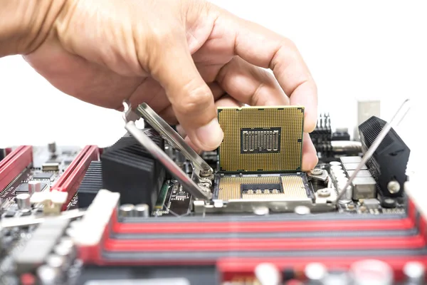 El tutma Cpu ic yüzeyi göstermek ve beyaz bakcground izole işlemci için anakart açık soket montaj var