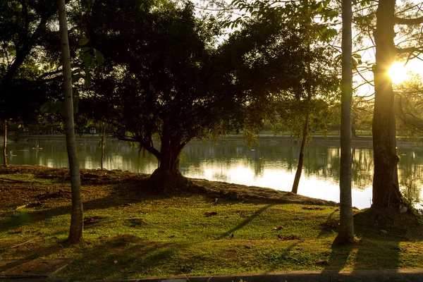 Lago en un parque con efecto de luz solar — Foto de Stock