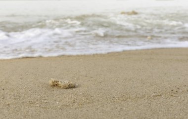 kum ve deniz arka planı. Metin veya tasarım için.