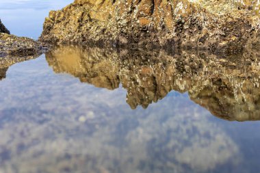 Büyük kaya ve sahil arka planı. Metin veya tasarım için