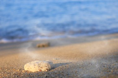Kum ve deniz zemininde küçük bir kaya. Metin veya tasarım için.