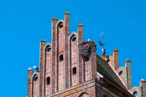 Muelhausen kilisesi, Gvardeyskoye, Bagrationovsky bölgesi, Kaliningrad bölgesi, Rusya Federasyonu, 21 Temmuz 2018