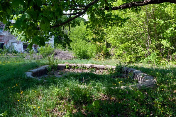 Fountain bowl in the front yard of the manor house of the Muromtsev estate, Balovnevo village, Dankov district, Lipetsk region, Russian Federation, May 13, 2018