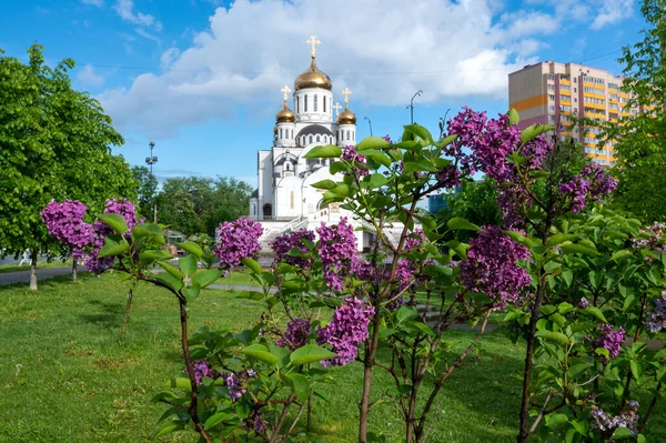 Flowing Lilac Lat 성삼위 광장에 러시아 모스크바 지역의 2020 — 스톡 사진
