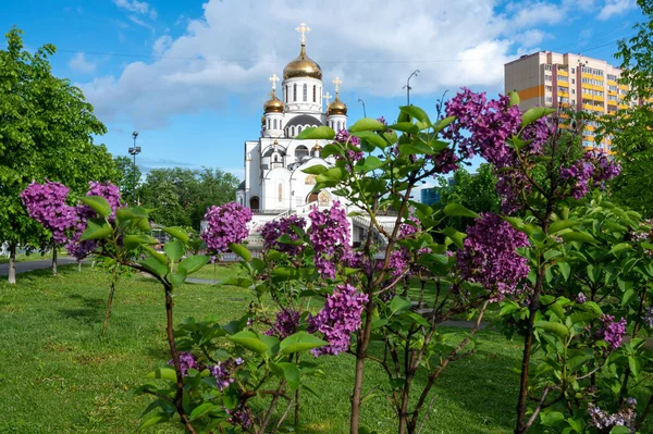 Liliowy Kwitnący Lat Strzykawka Placu Pobliżu Kościoła Świętej Trójcy Reutow — Zdjęcie stockowe