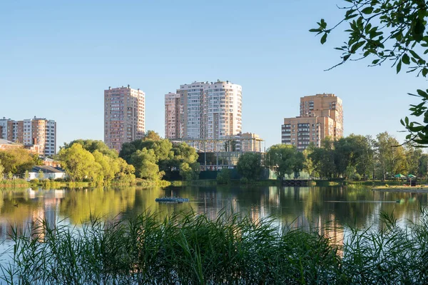 Nel Parco Factory Pond Reutov Regione Mosca Federazione Russa Agosto — Foto Stock