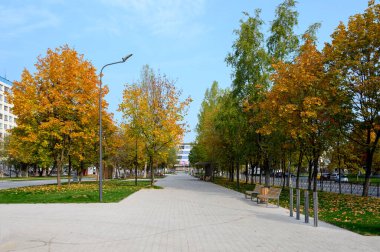 Reutov, Moskova Bölgesi, Rusya Federasyonu, 26 Eylül 2020